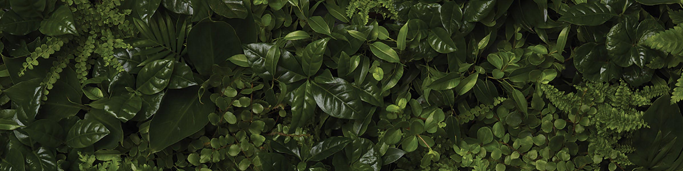 Une erreur est survenue, veuillez réessayer ultérieurement.